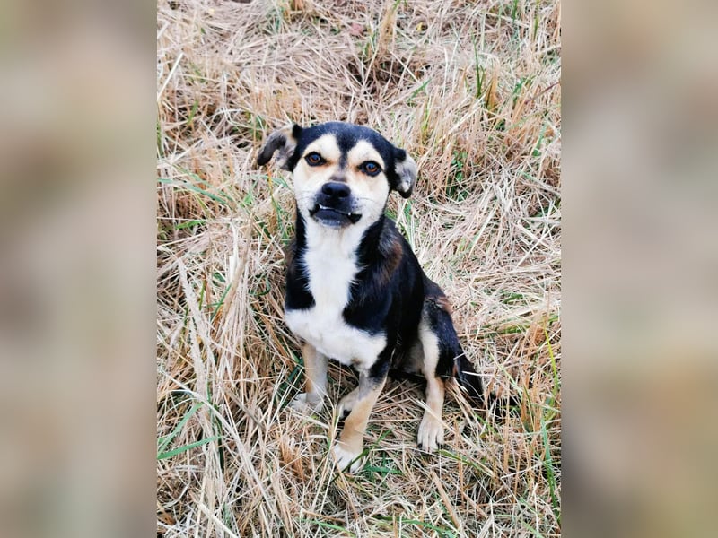 Wer hat das schönste Lächeln - Smile 