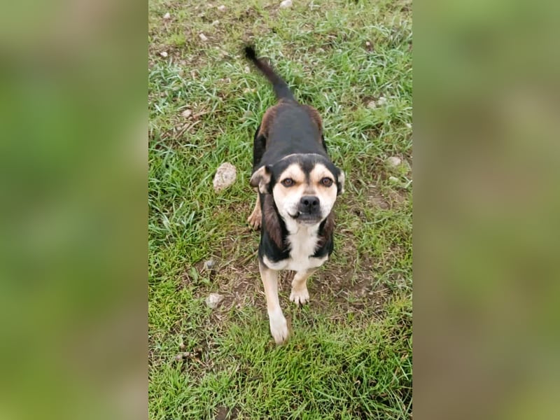 Wer hat das schönste Lächeln - Smile 