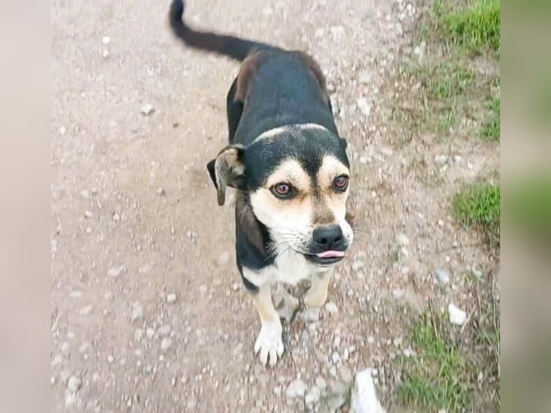 Wer hat das schönste Lächeln - Smile 