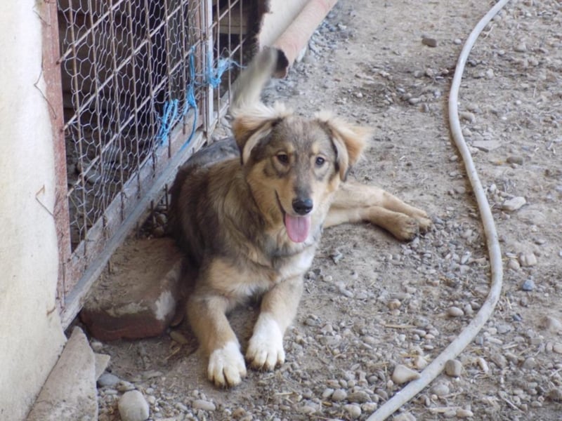 Kleine Naomi sucht großes Herz!