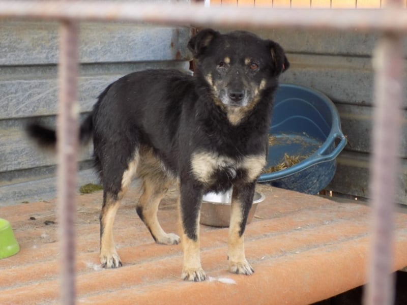 Kylie wartet aufs Wunder!