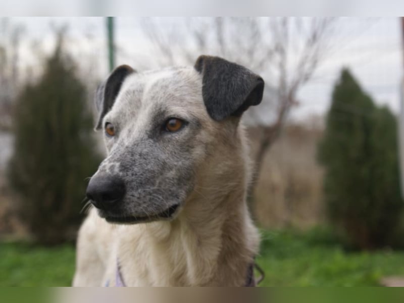 Hübsche Peggy in Not!