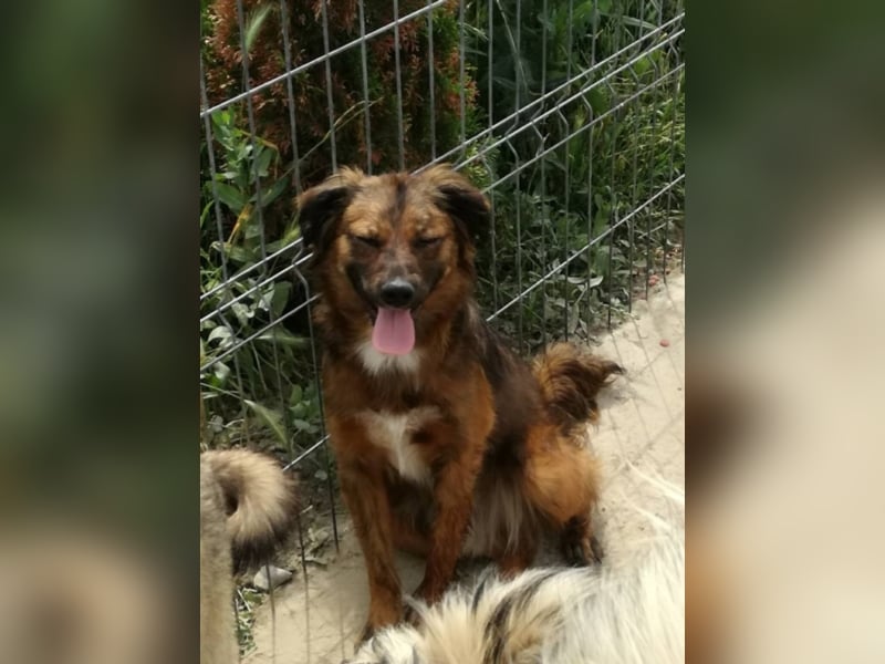 Toller Whisky wartet auf Dich!