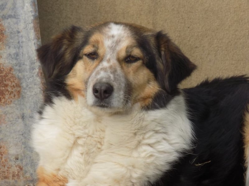 Schöne Shanti sucht Dein Herz!