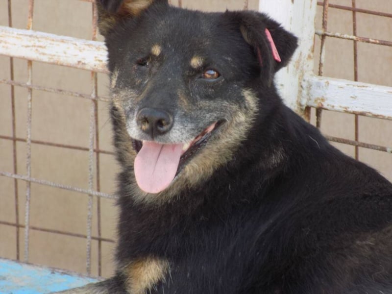 Kylie wartet aufs Wunder!