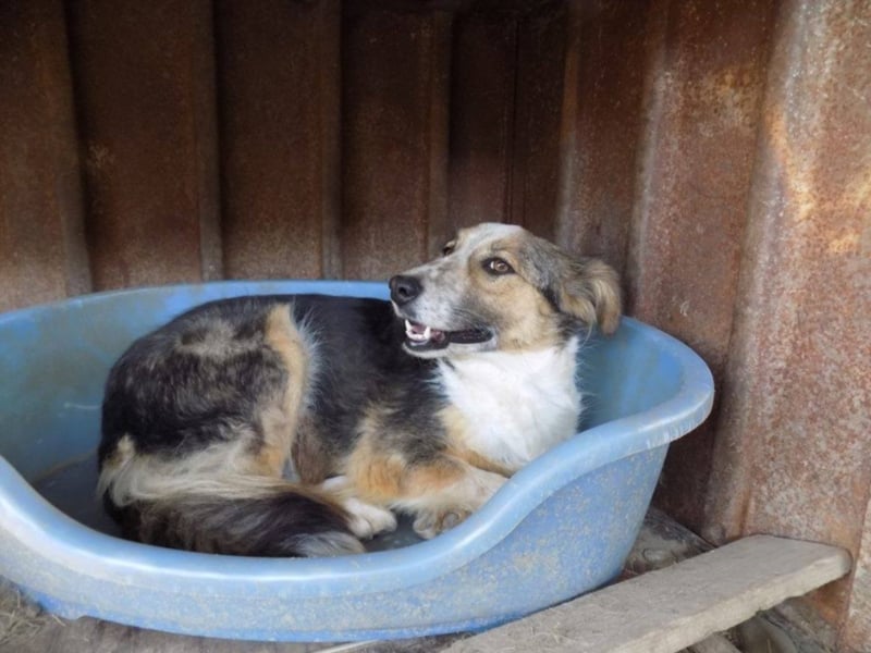 Schöne Shanti sucht Dein Herz!