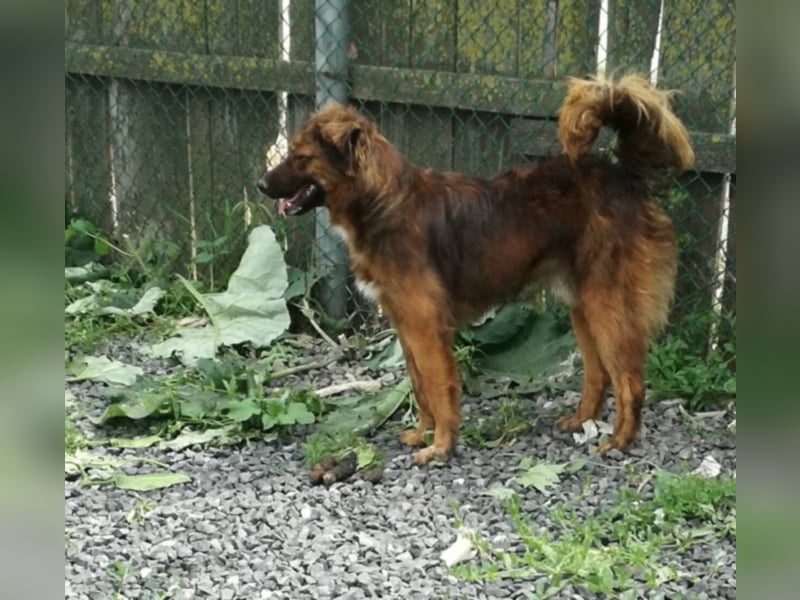 Toller Whisky wartet auf Dich!