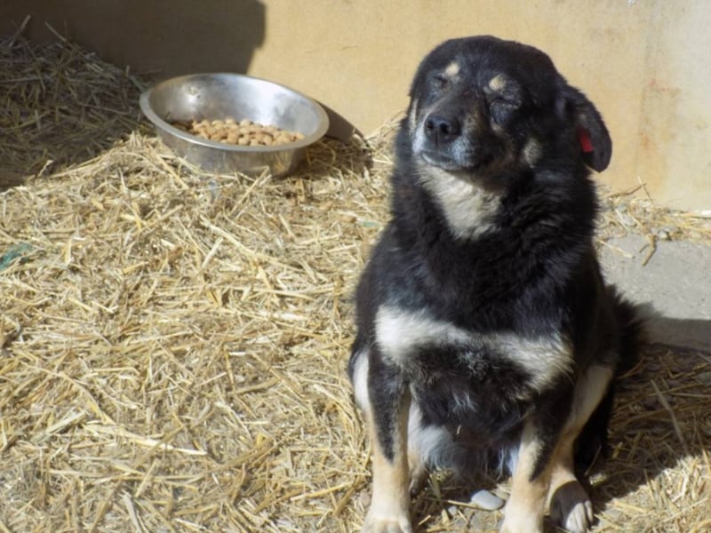 Kylie wartet aufs Wunder!