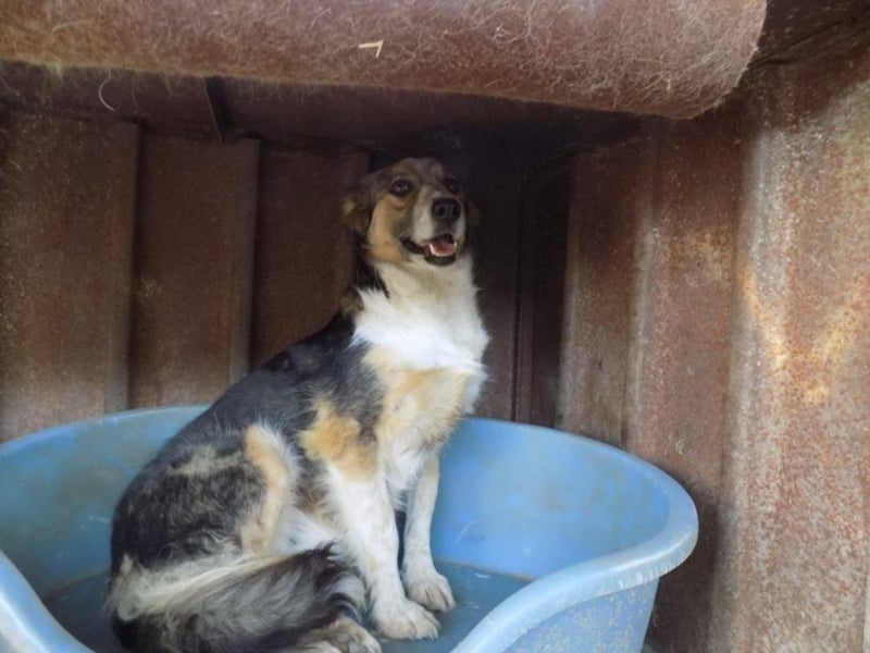 Schöne Shanti sucht Dein Herz!