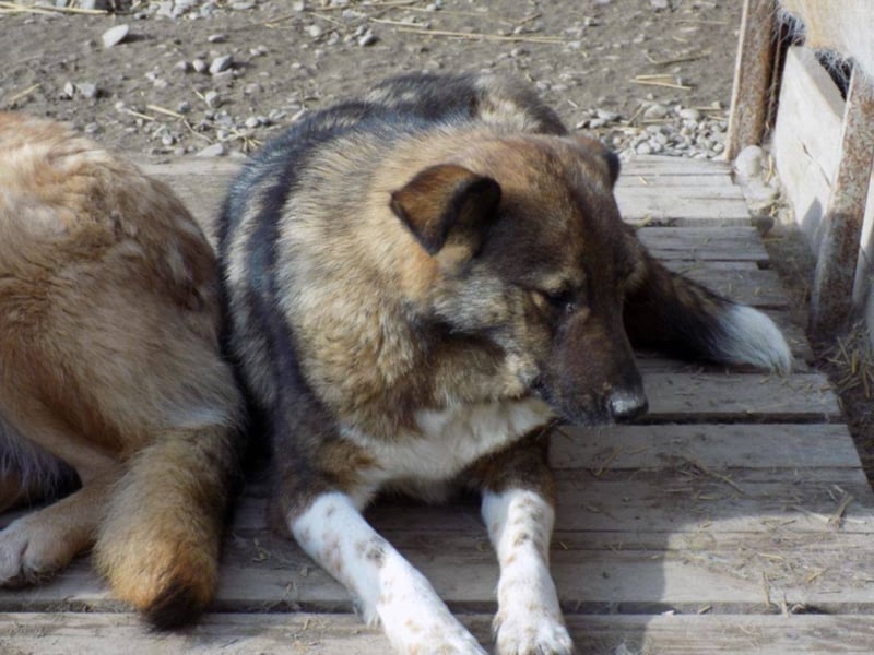 Schöne Jenna wartet schon lange!