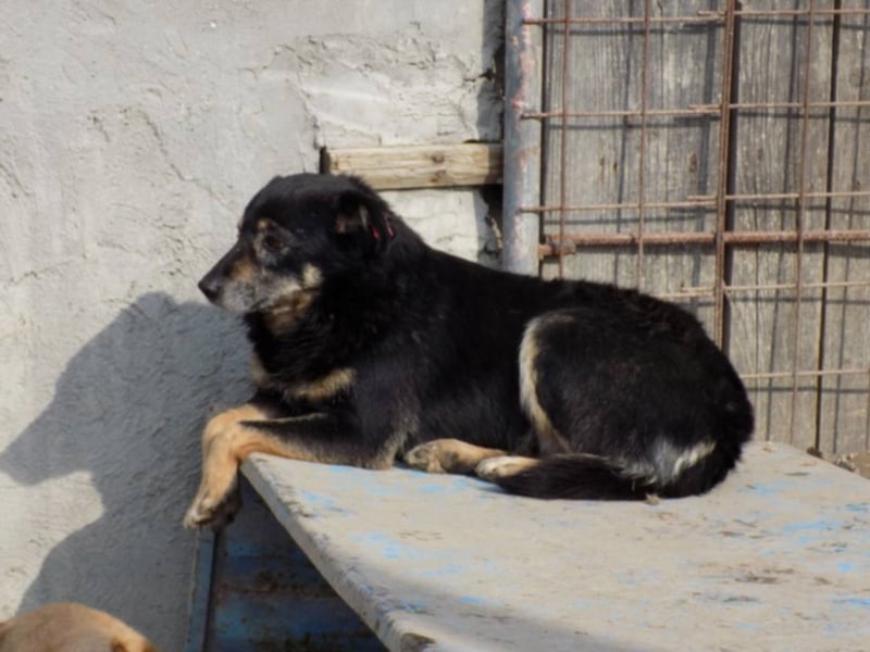 Kylie wartet aufs Wunder!