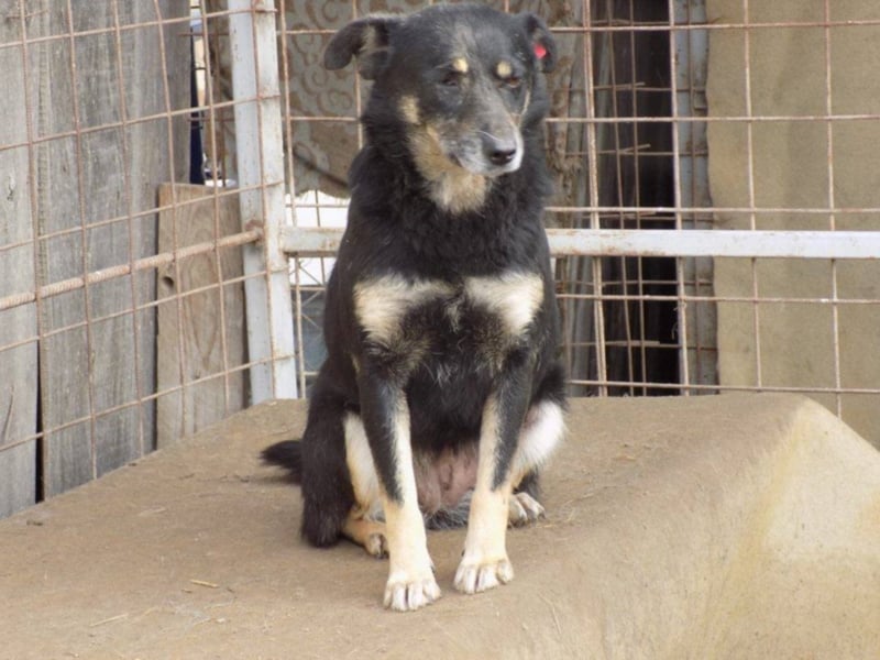 Kylie wartet aufs Wunder!