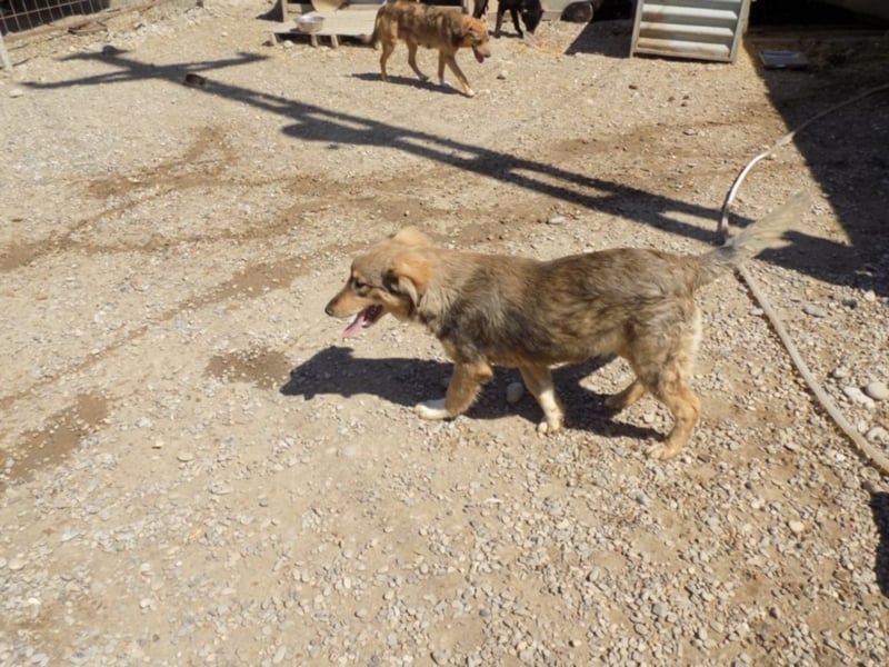 Kleine Naomi sucht großes Herz!