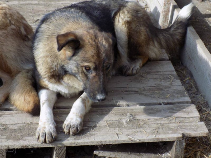 Schöne Jenna wartet schon lange!