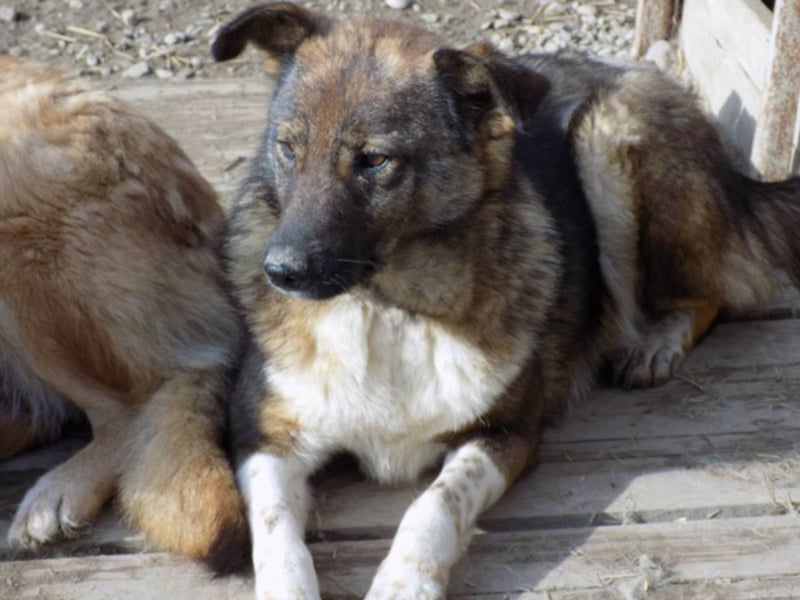 Schöne Jenna wartet schon lange!