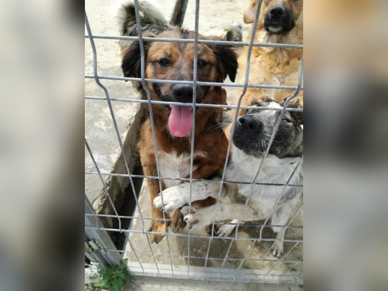 Toller Whisky wartet auf Dich!