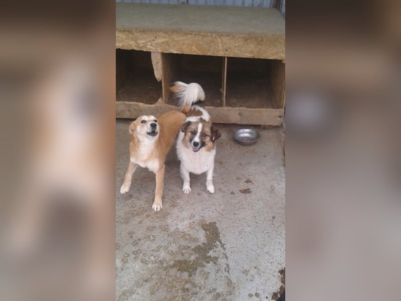 Kleiner Aladin möchte dich verzaubern!