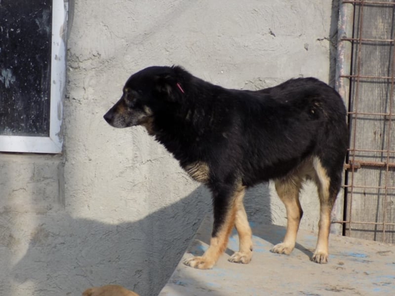 Kylie wartet aufs Wunder!