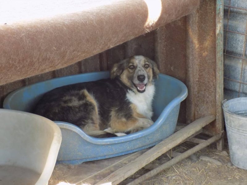 Schöne Shanti sucht Dein Herz!