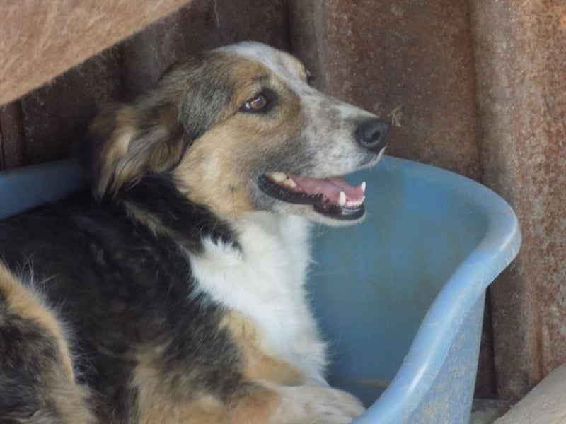 Schöne Shanti sucht Dein Herz!