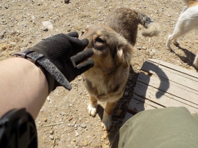 Kleine Naomi sucht großes Herz!