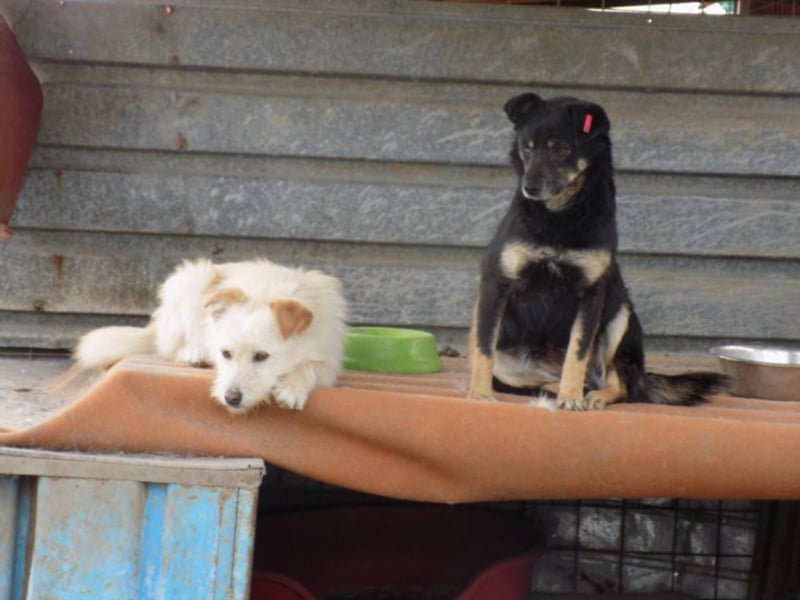 Kylie wartet aufs Wunder!