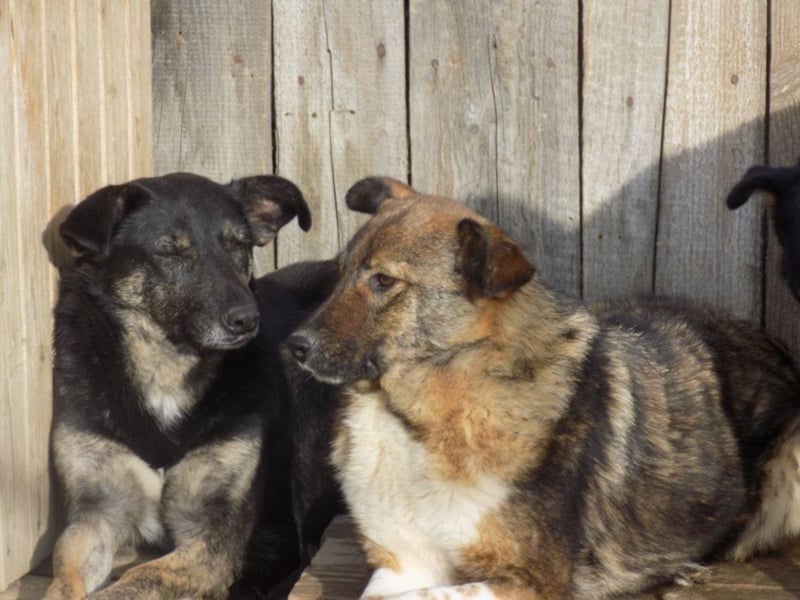 Schöne Jenna wartet schon lange!