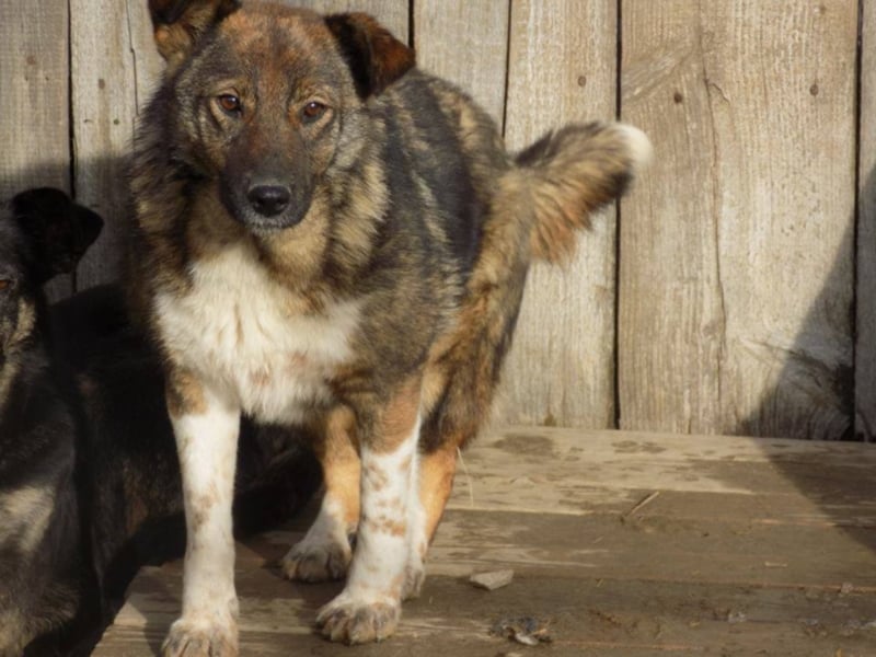 Schöne Jenna wartet schon lange!