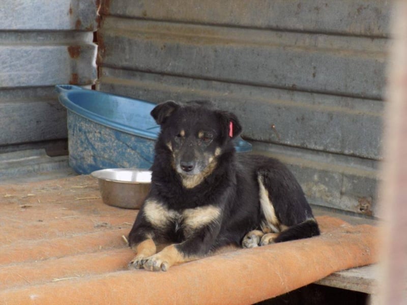 Kylie wartet aufs Wunder!