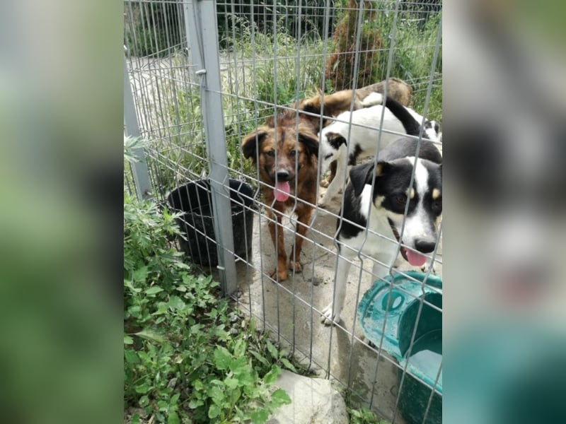 Toller Whisky wartet auf Dich!