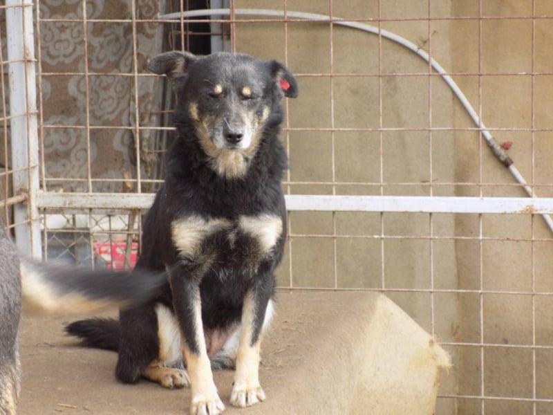 Kylie wartet aufs Wunder!