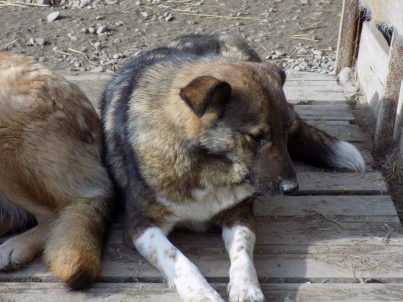 Schöne Jenna wartet schon lange!