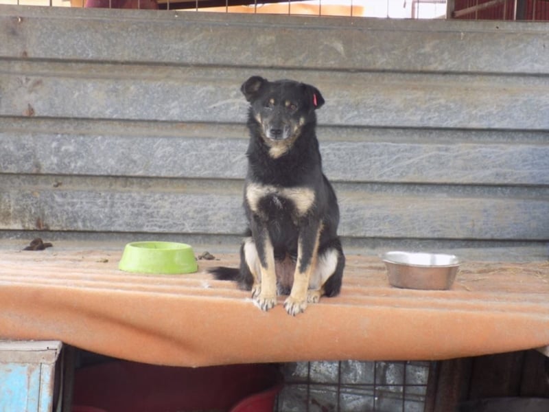 Kylie wartet aufs Wunder!