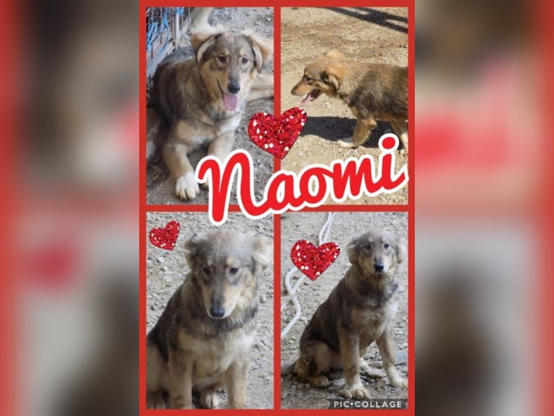 Kleine Naomi sucht großes Herz!