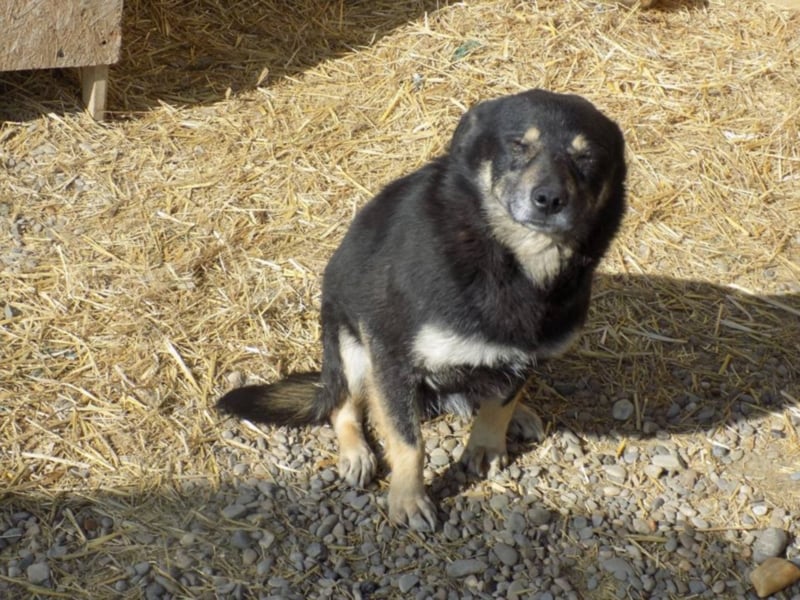 Kylie wartet aufs Wunder!