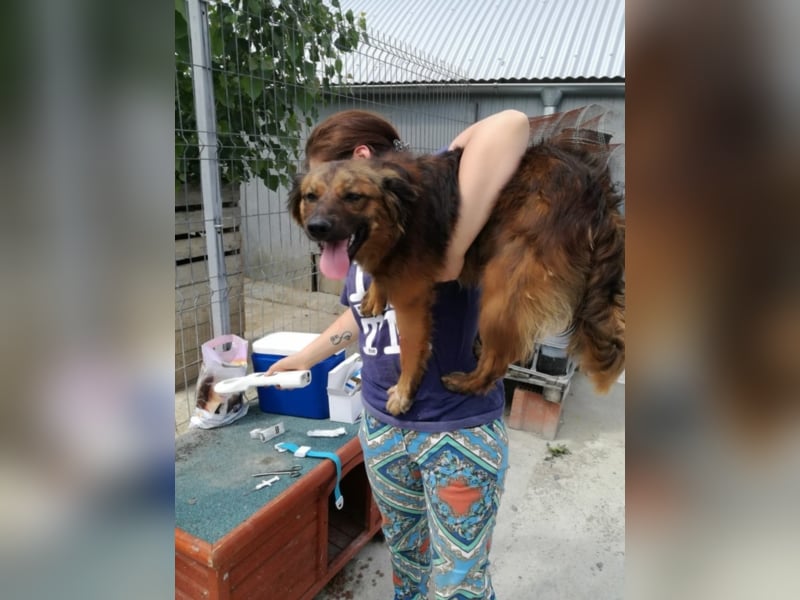 Toller Whisky wartet auf Dich!