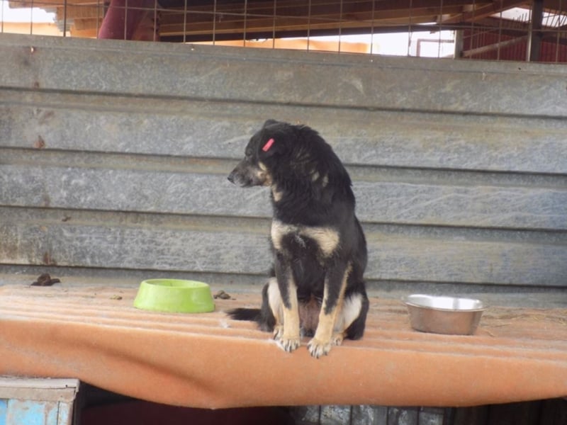 Kylie wartet aufs Wunder!