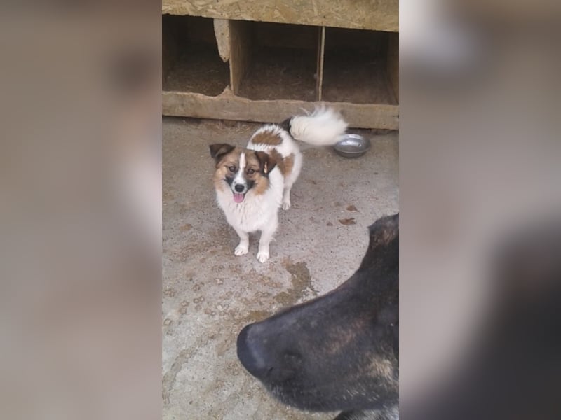 Kleiner Aladin möchte dich verzaubern!