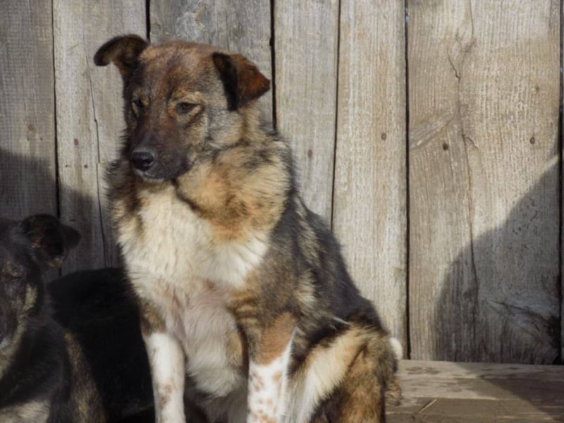 Schöne Jenna wartet schon lange!