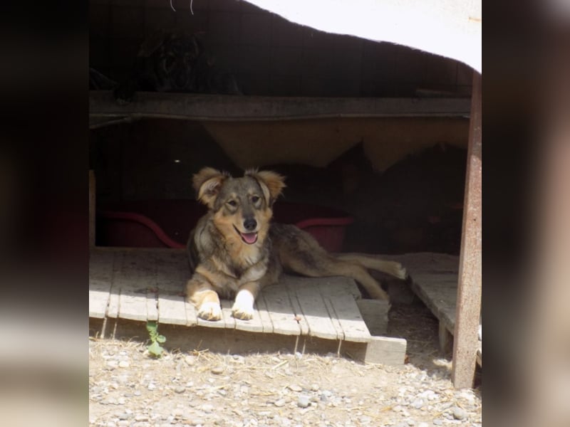 Kleine Naomi sucht großes Herz!