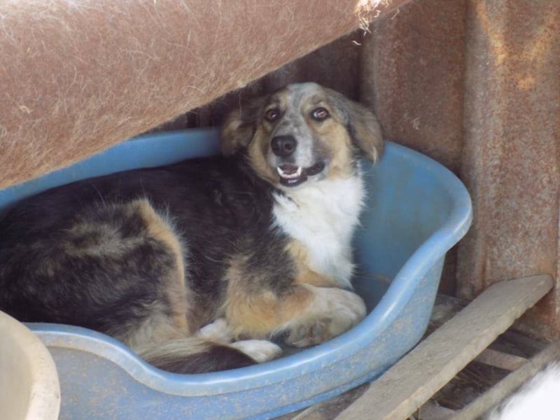 Schöne Shanti sucht Dein Herz!