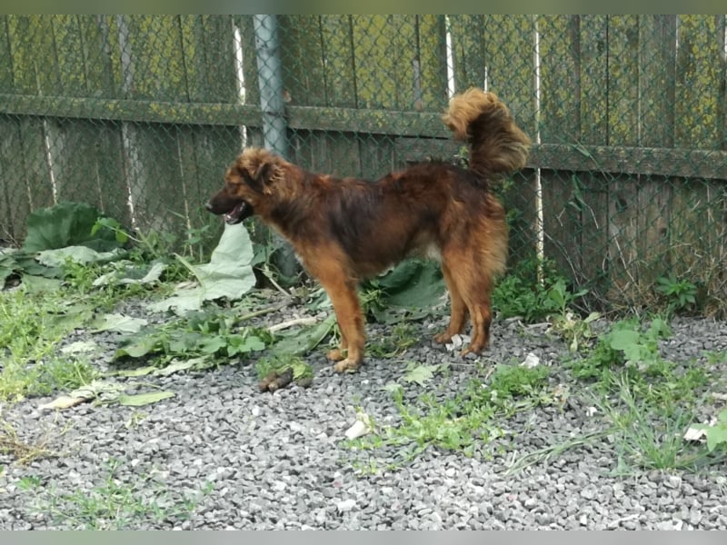 Toller Whisky wartet auf Dich!