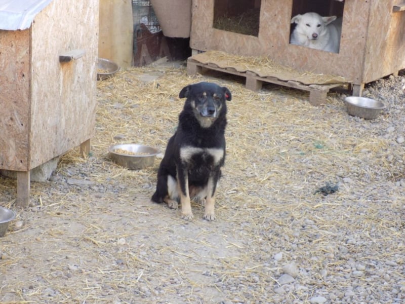 Kylie wartet aufs Wunder!