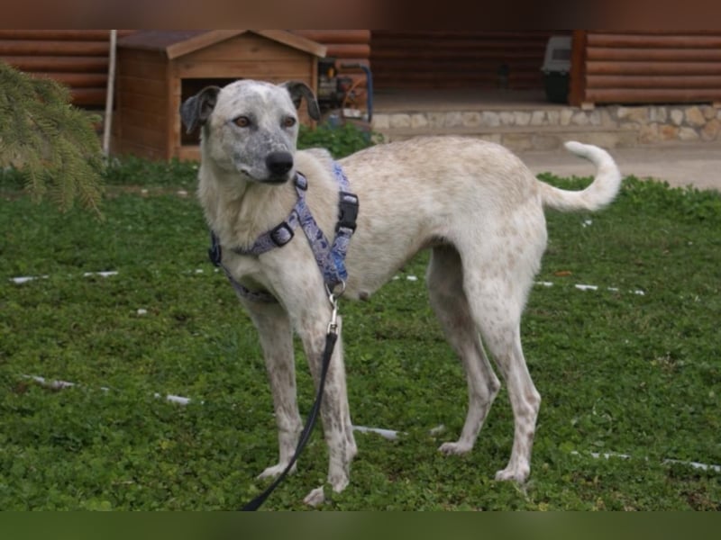 Hübsche Peggy in Not!