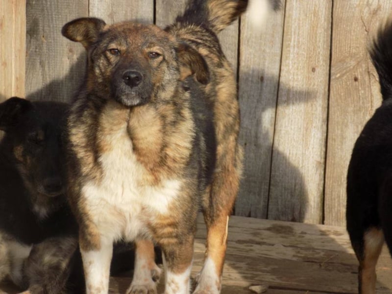 Schöne Jenna wartet schon lange!