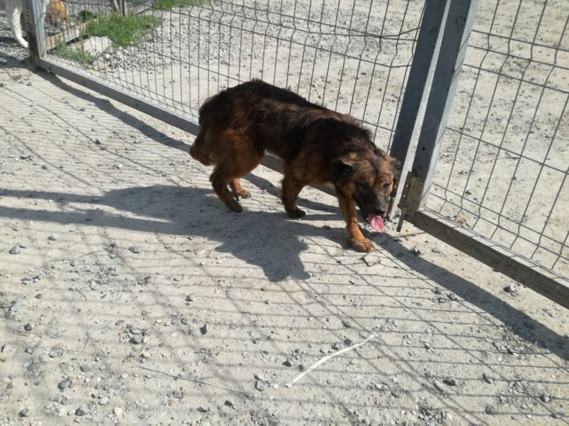 Toller Whisky wartet auf Dich!