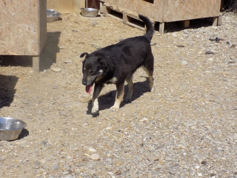 Kylie wartet aufs Wunder!