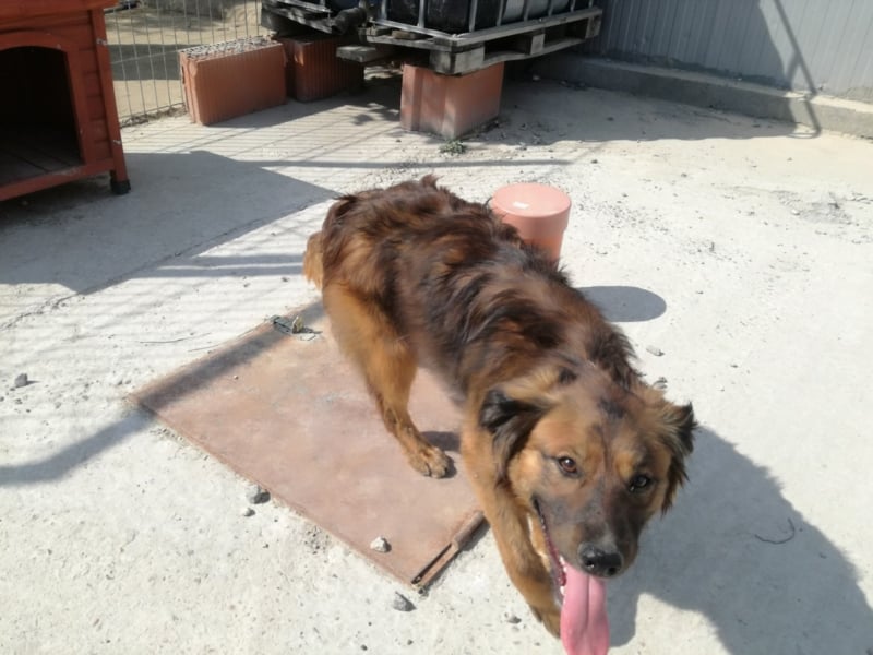 Toller Whisky wartet auf Dich!