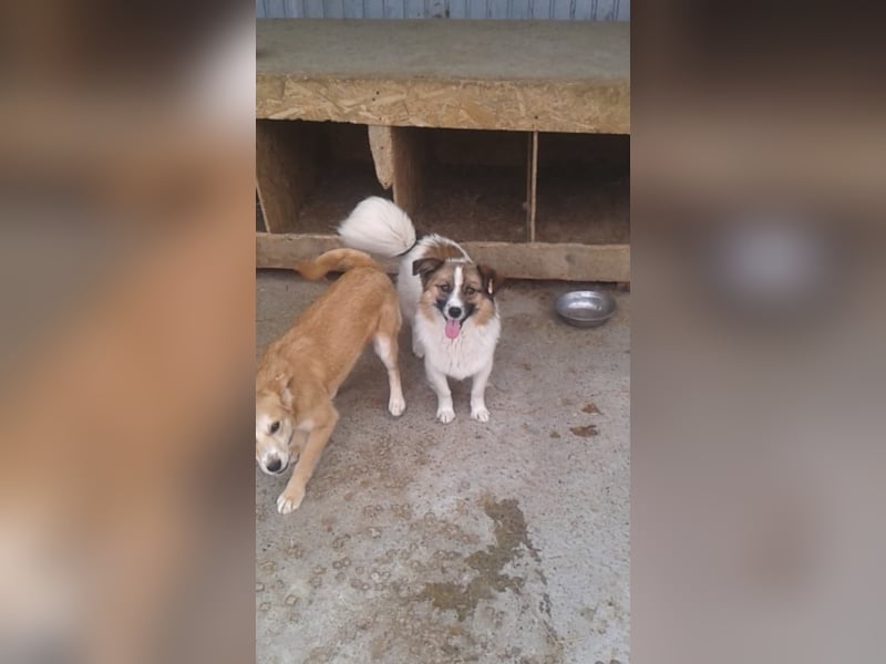 Kleiner Aladin möchte dich verzaubern!