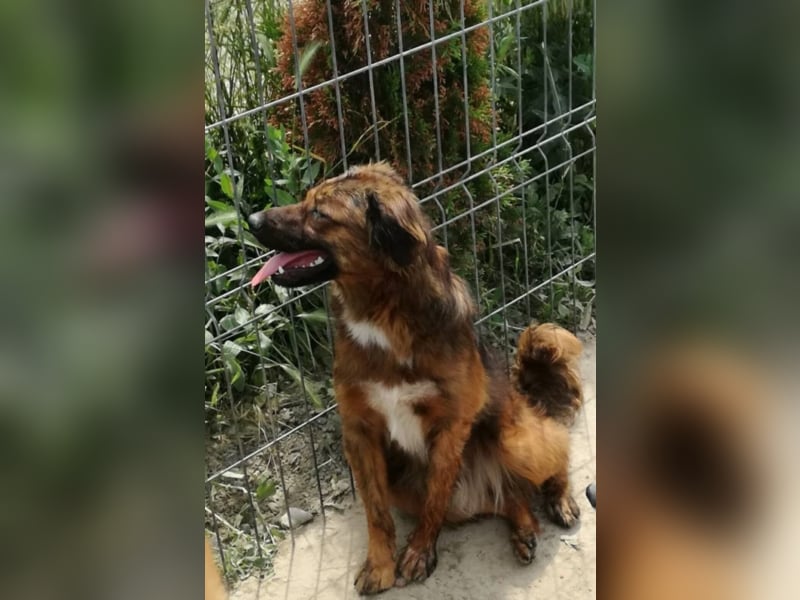 Toller Whisky wartet auf Dich!